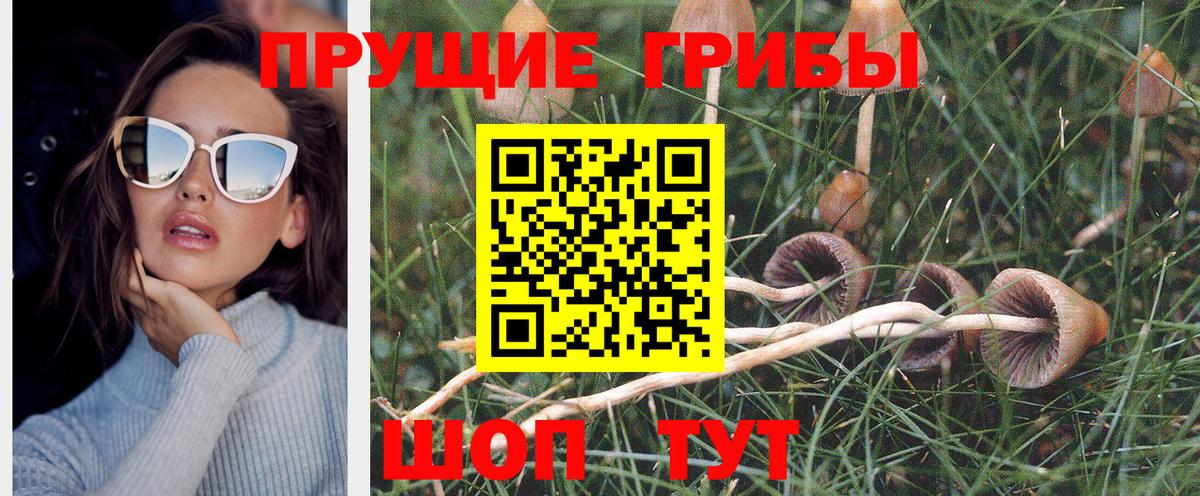 Галлюциногенные грибы Psilocybine cubensis  Галлюциногенные грибы Magic Shrooms  закладки  Гусь-Хрустальный  Вход с VPN 